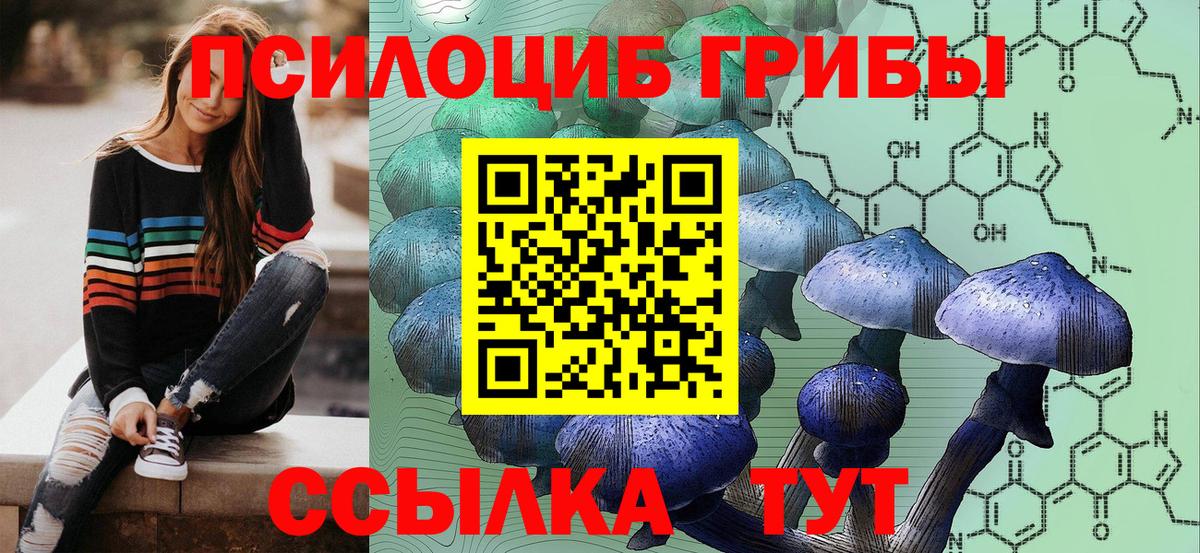 Галлюциногенные грибы мицелий Кириши