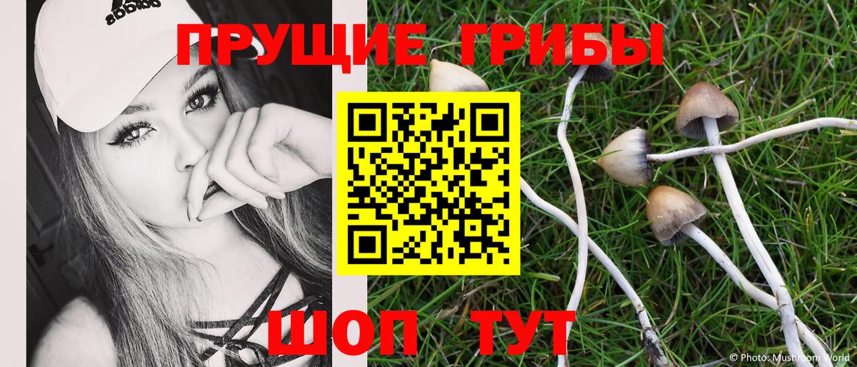 Псилоцибиновые грибы Psilocybe  где можно купить   Псилоцибиновые грибы MAGIC MUSHROOMS  Кириши  Вход с VPN 